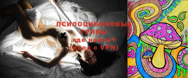 спиды Алексеевка