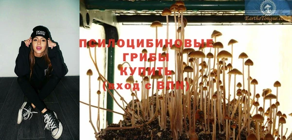 метадон Абаза