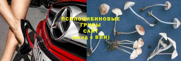 сатива Саяногорск