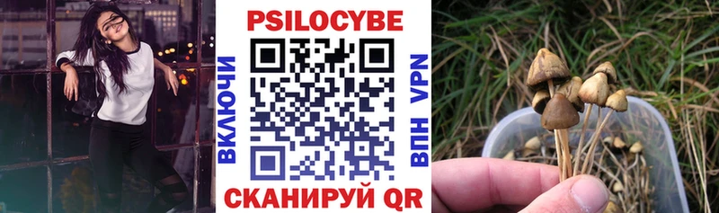 где купить наркоту  ОМГ ОМГ вход  Псилоцибиновые грибы мицелий  Всеволожск 