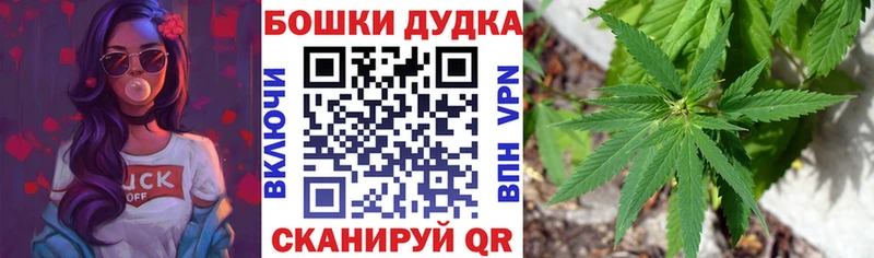 купить закладку  Всеволожск  МАРИХУАНА семена 